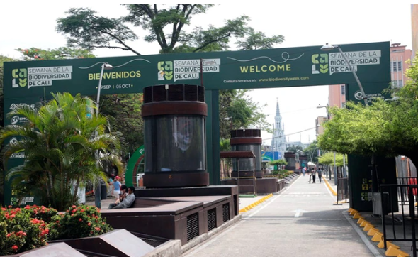 Captura de pantalla 2025-09-29 005754